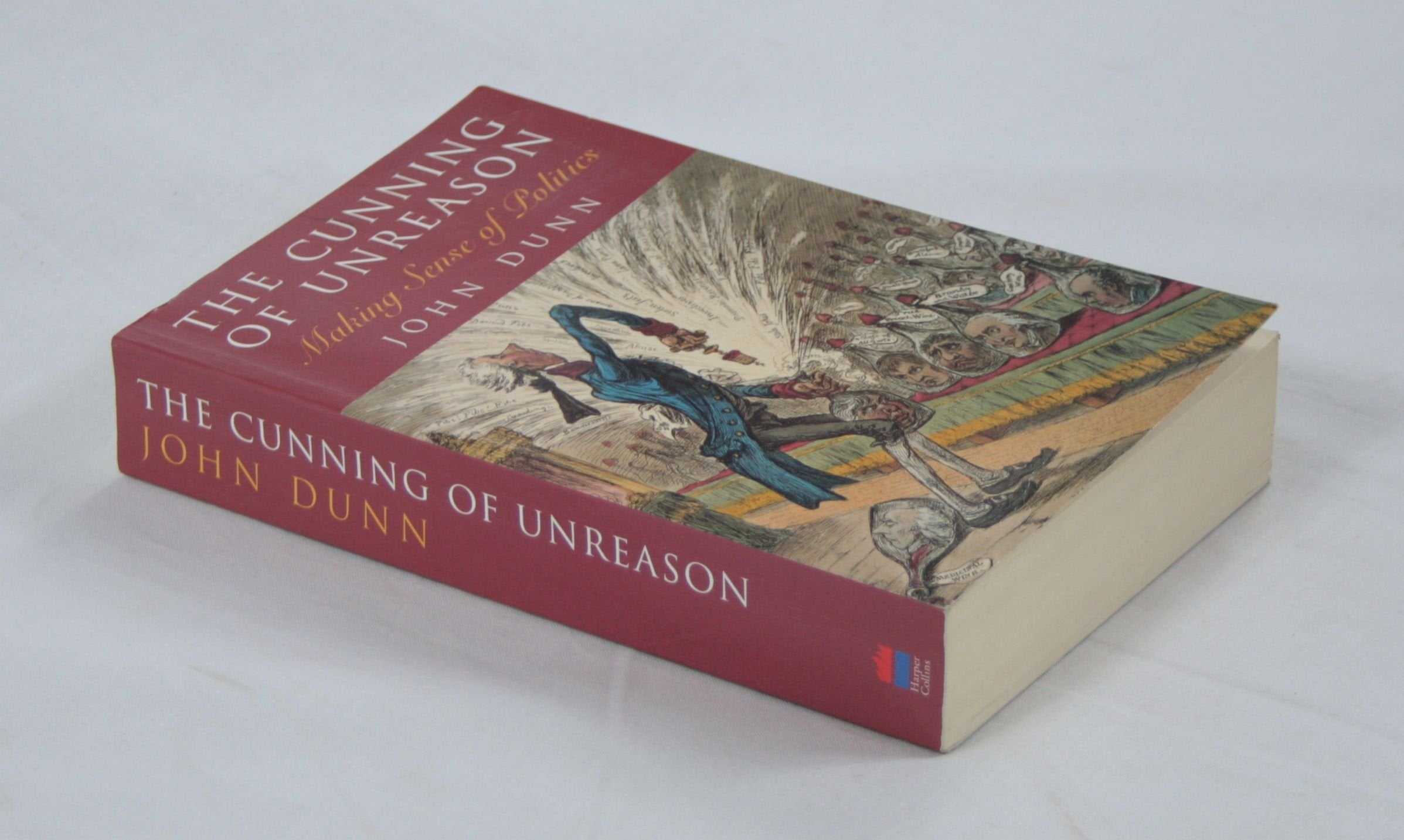 The Cunning of Unreason : Making Sense of Politics