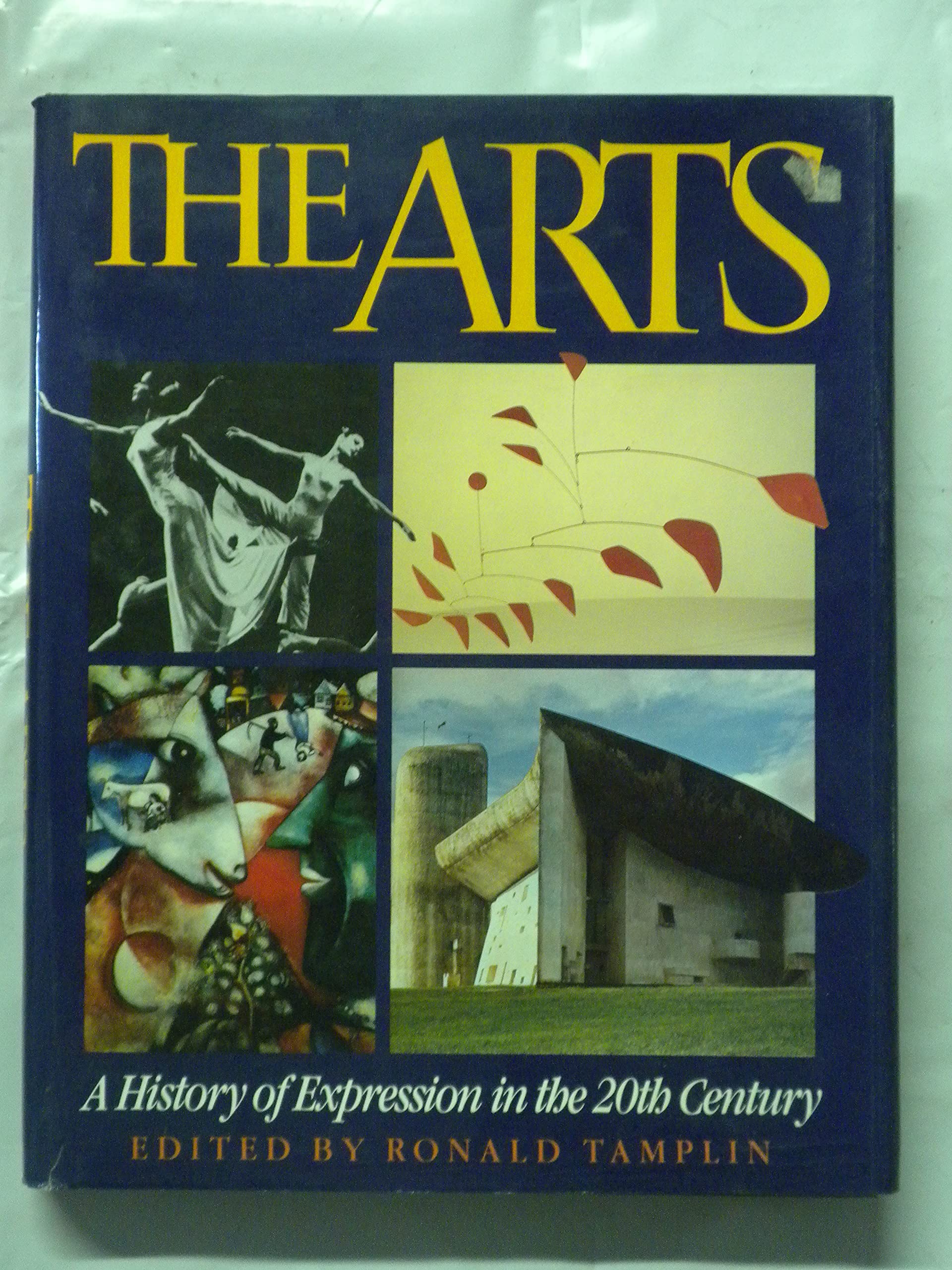 The Arts: A History of Expression in the 20th Century (Twentieth Century History Series)