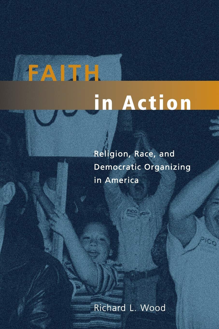 Faith in Action: Religion, Race, and Democratic Organizing in America (Morality and Society Series)