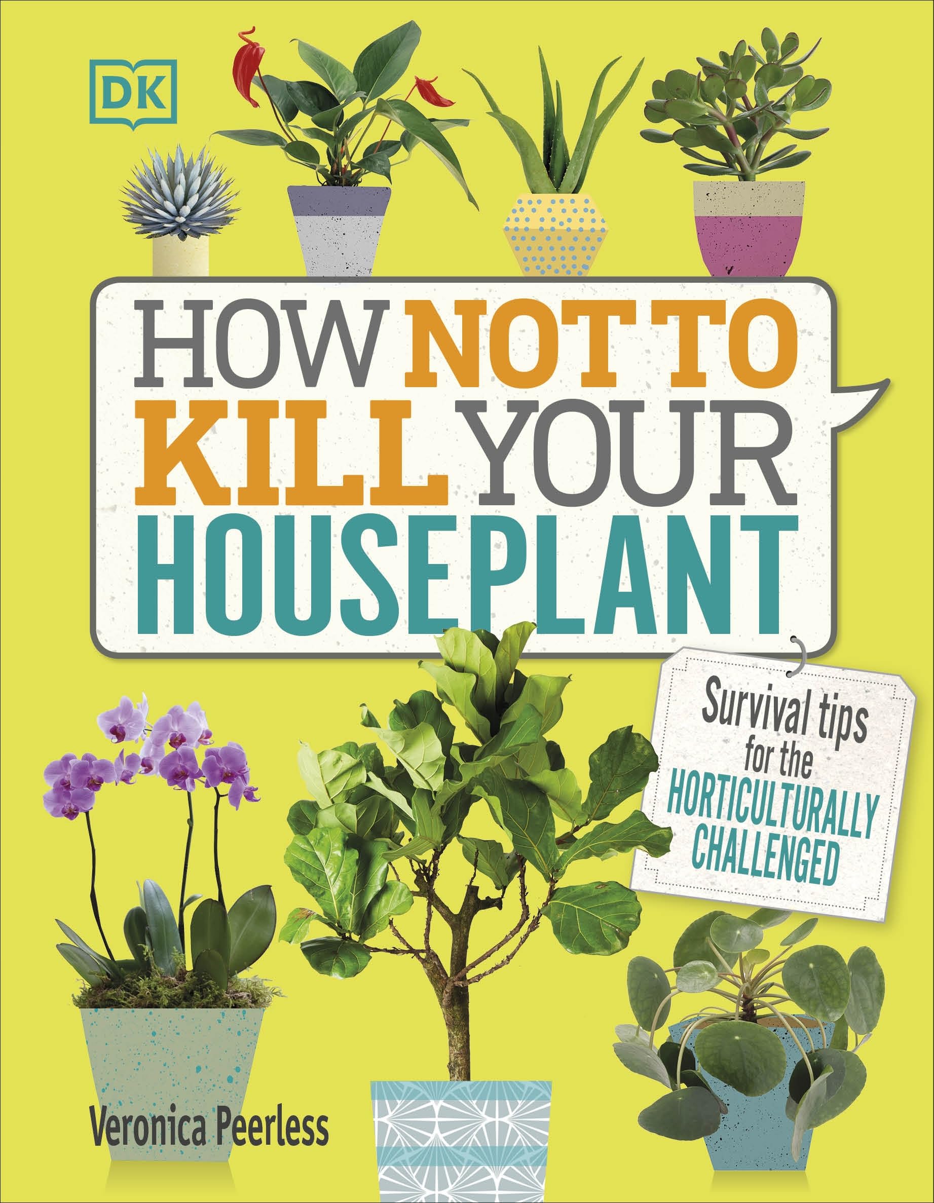 How Not to Kill Your House Plant: Survival Tips for the Horticulturally Challenged