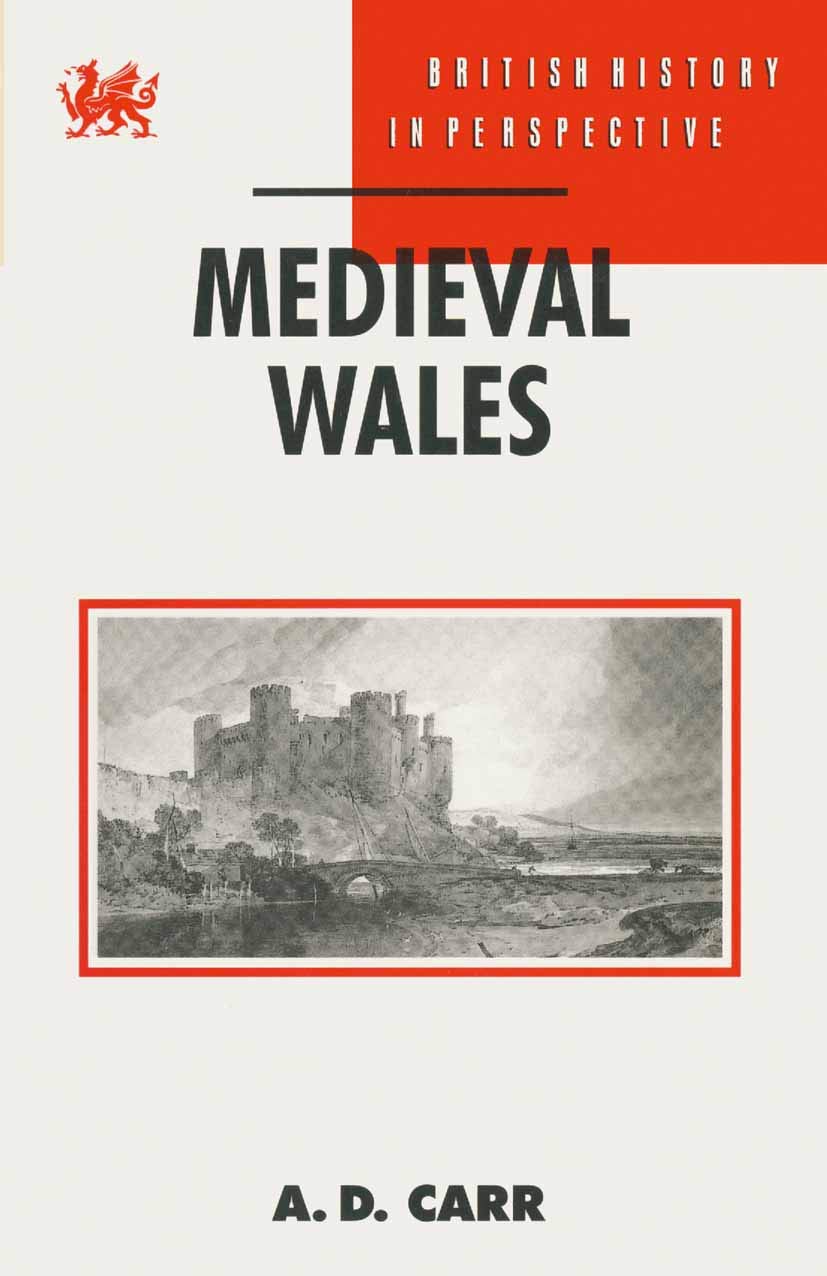 Medieval Wales (British History in Perspective, 108)