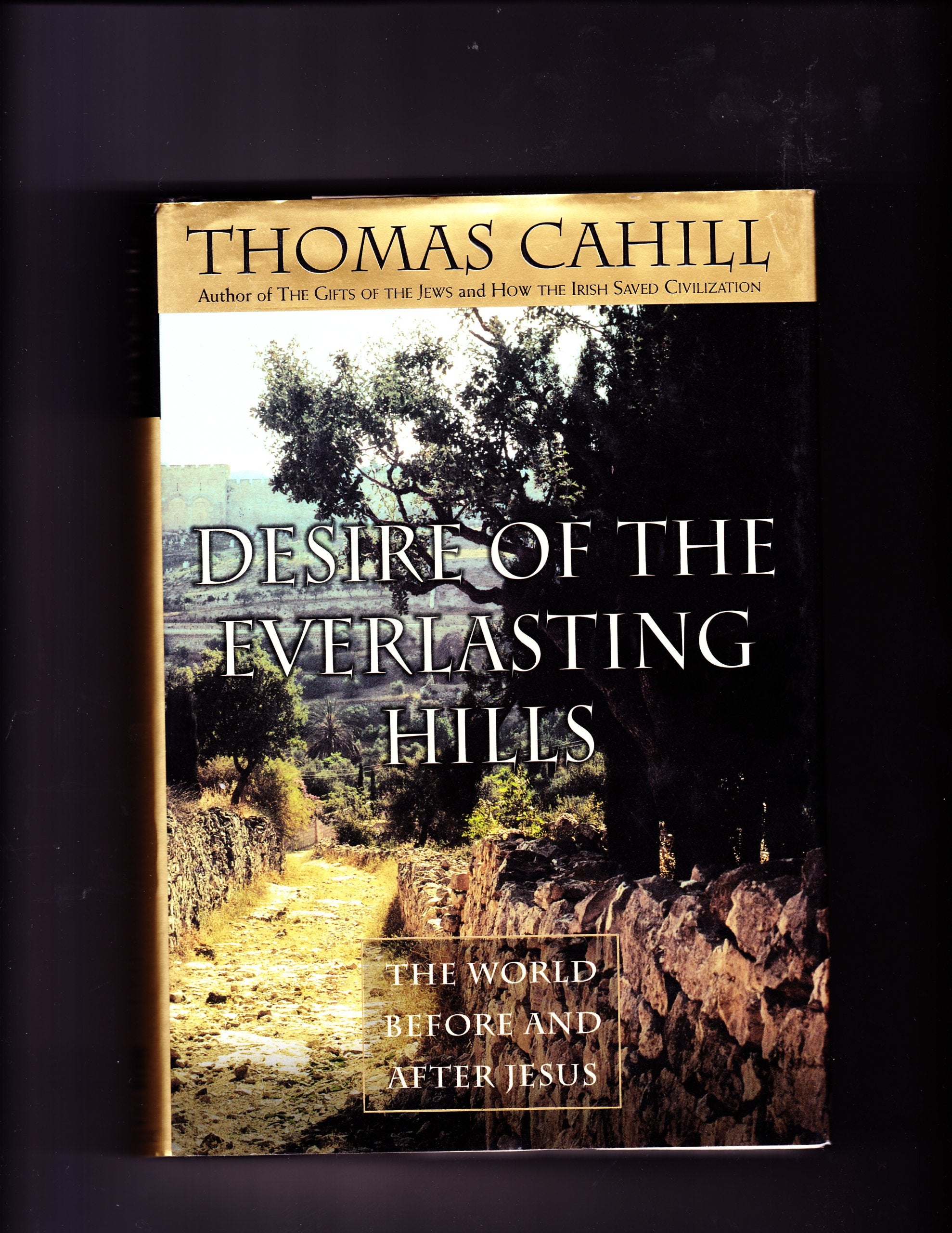 Desire of the Everlasting Hills: The World Before and After Jesus (Hinges of History)