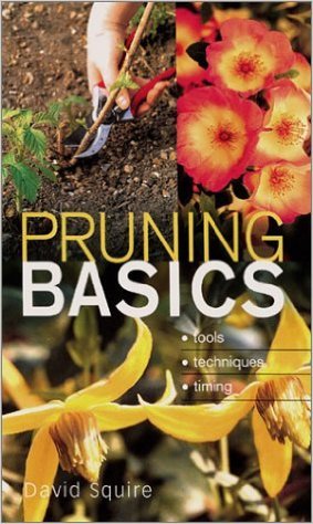 Pruning Basics