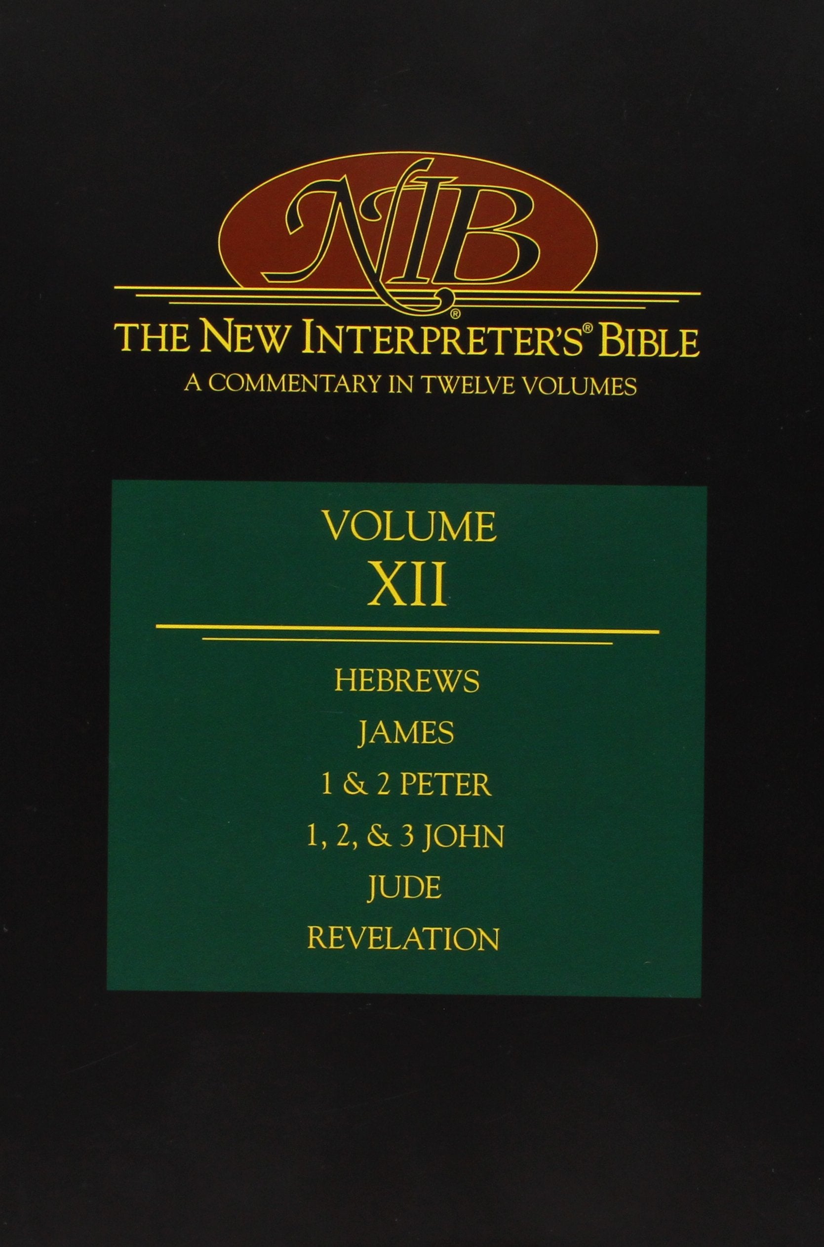 The New Interpreter's Bible: General Articles & Introduction, Commentary, & Reflections for Each Book of the Bible Including the Apocryphal/Deuterocanonical Books: 12