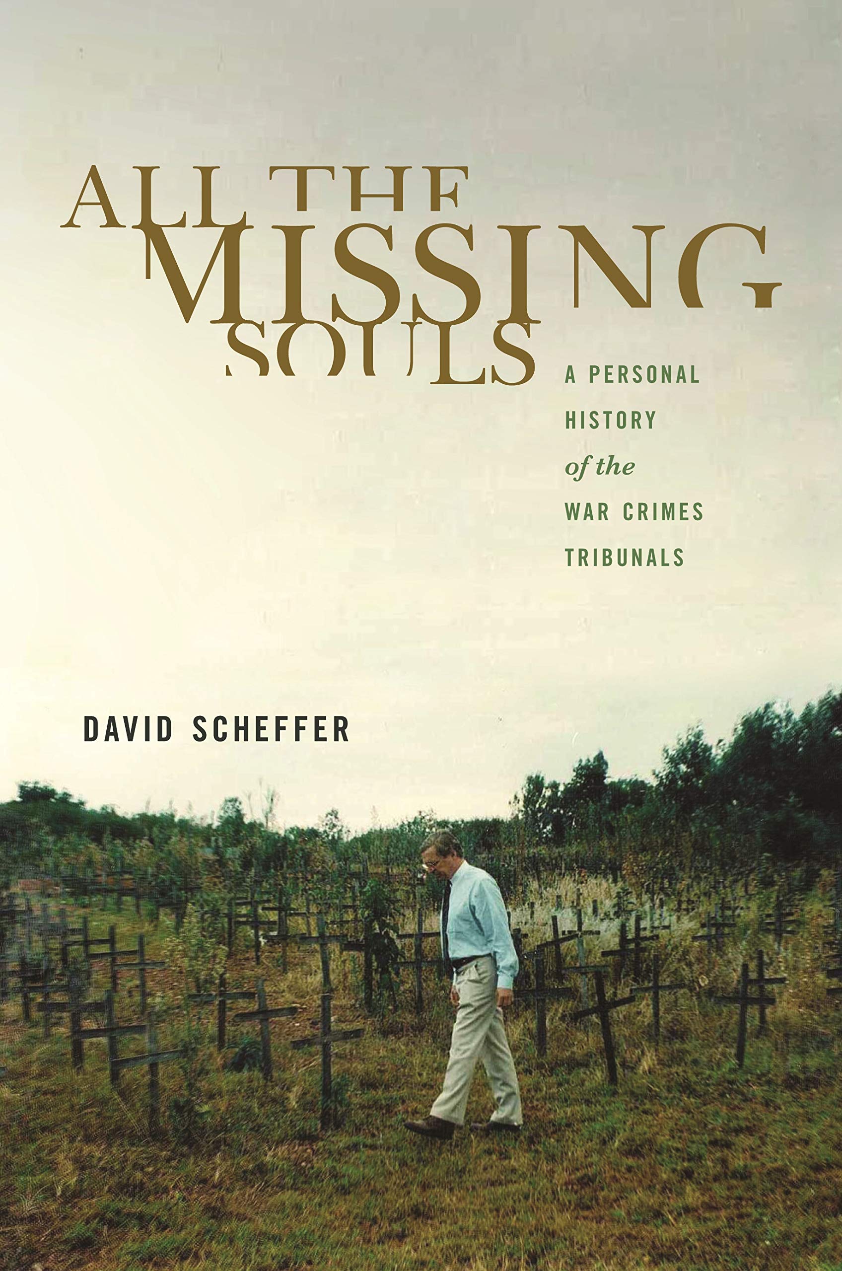 All the Missing Souls: A Personal History of the War Crimes Tribunals (Human Rights and Crimes against Humanity, 13)