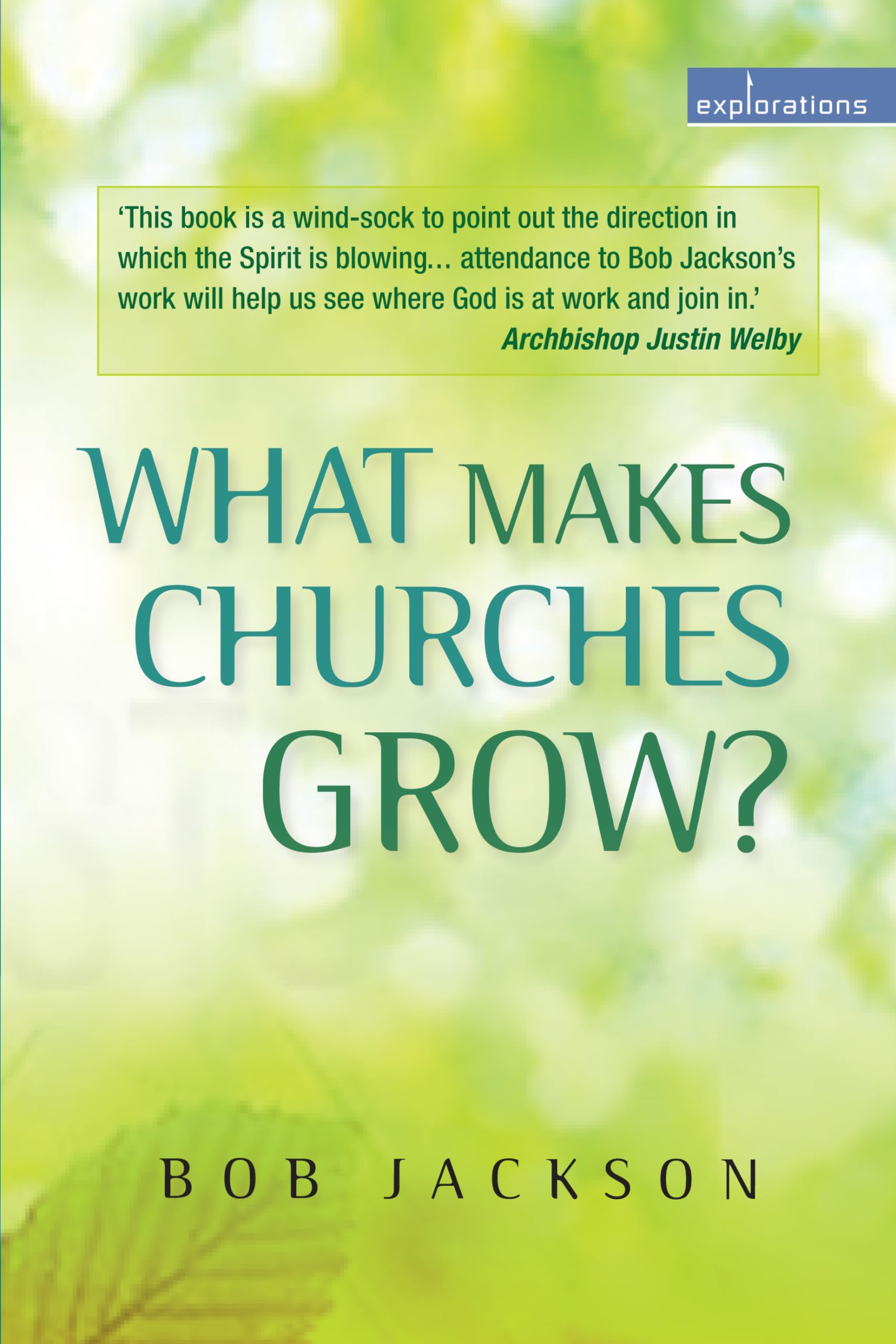 What Makes Churches Grow?: Vision and practice in effective mission (Explorations)