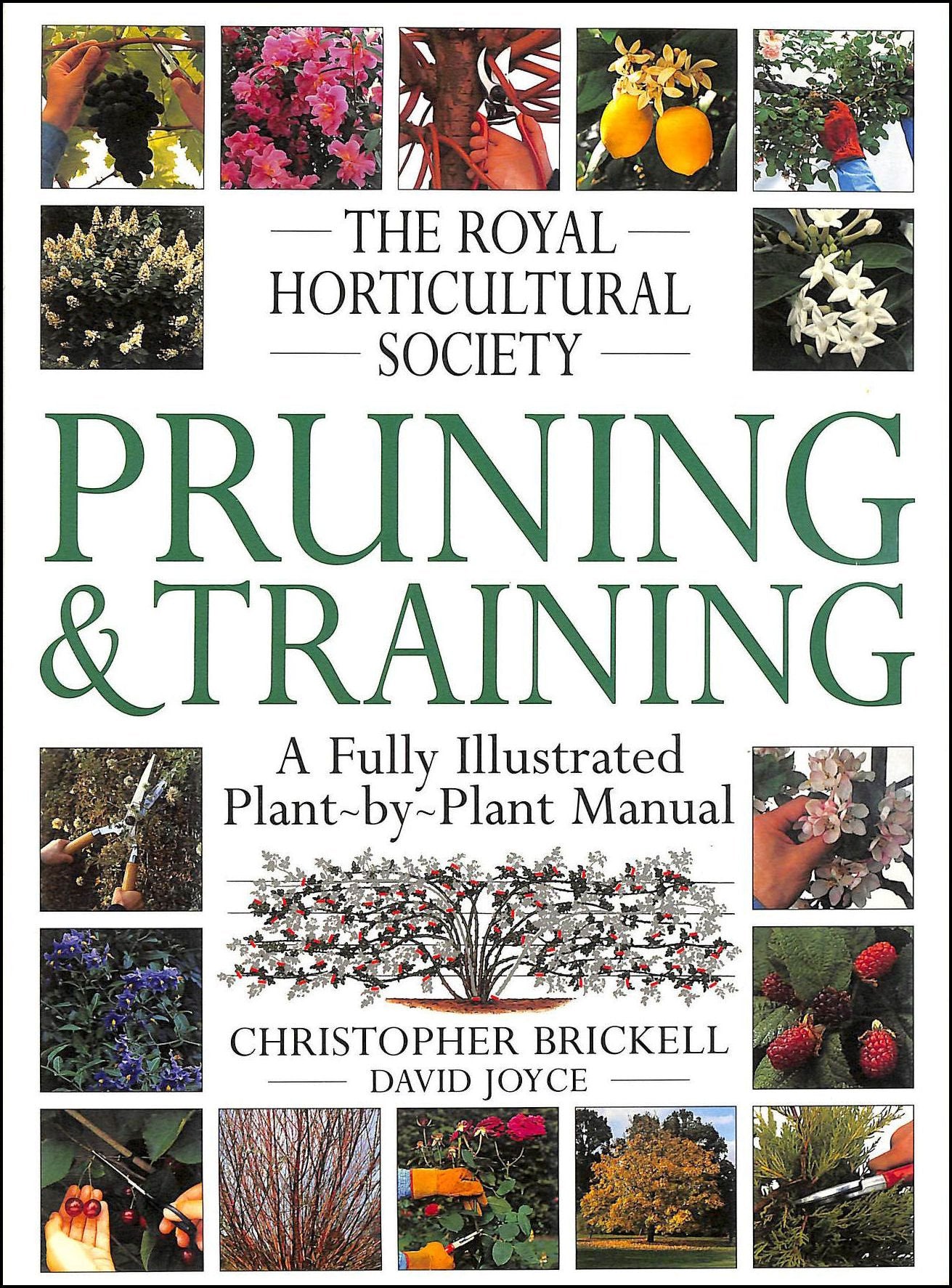 The Royal Horticultural Society Pruning and Training (RHS)