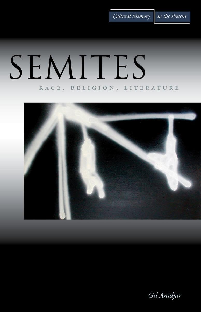 Semites: Race, Religion, Literature (Cultural Memory in the Present)