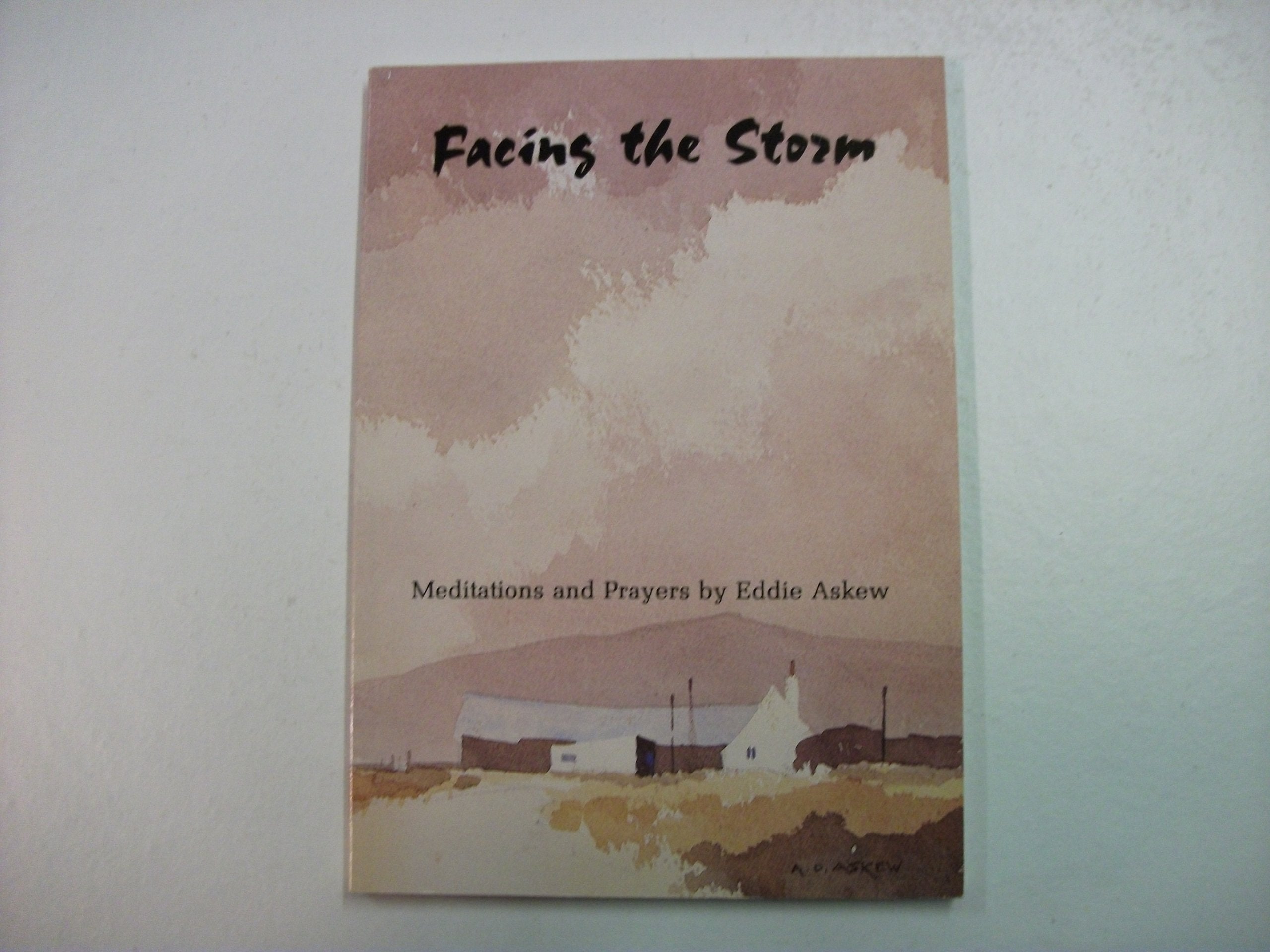 Facing the Storm: Meditations and Prayers