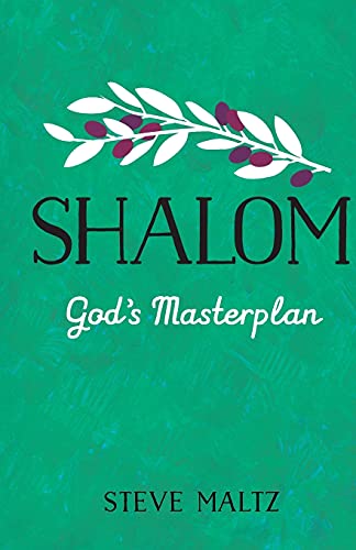 Shalom: God's Masterplan: Is today's Church what God originally intended it to be?