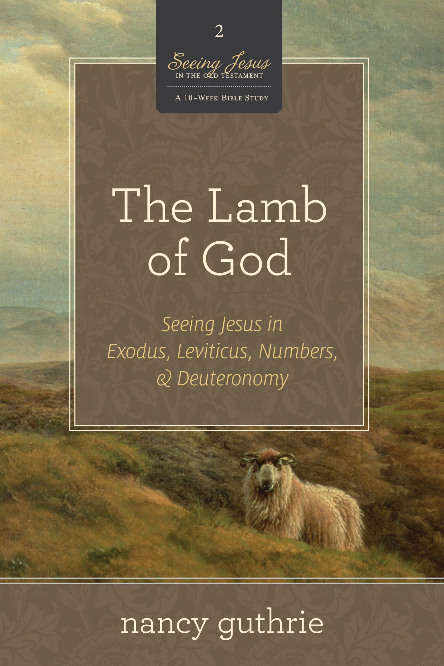 The Lamb of God: Seeing Jesus in Exodus, Leviticus, Numbers, and Deuteronomy (A 10-week Bible Study) (Volume 2)