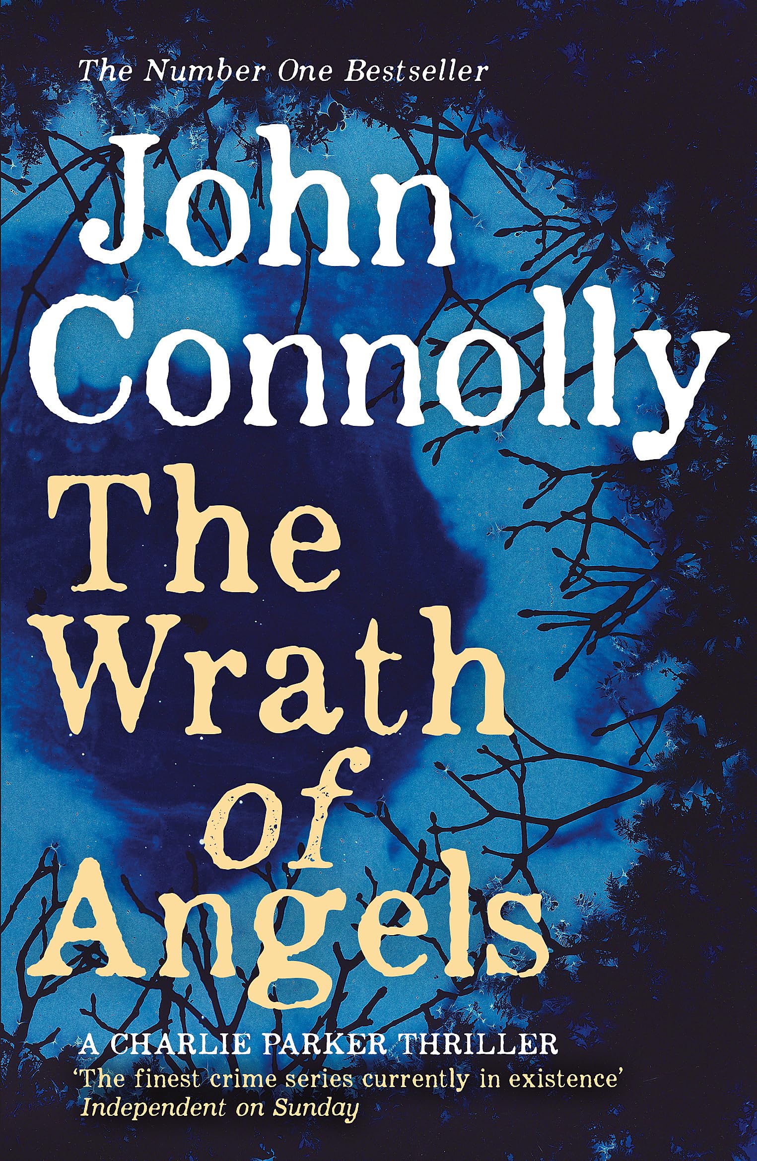 The Wrath of Angels: A Charlie Parker Thriller: 11