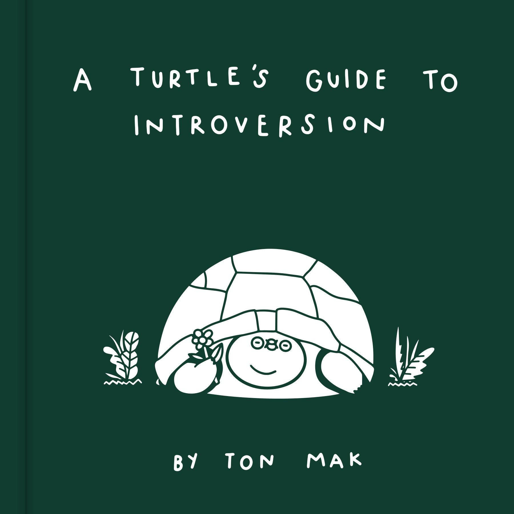 A Turtle's Guide to Introversion