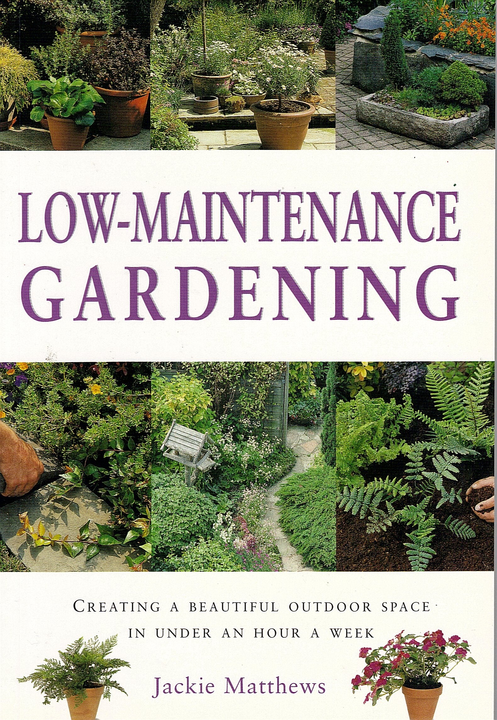 Low-maintenance Gardening