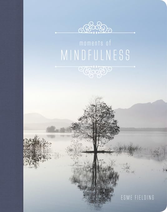 Moments of Mindfulness