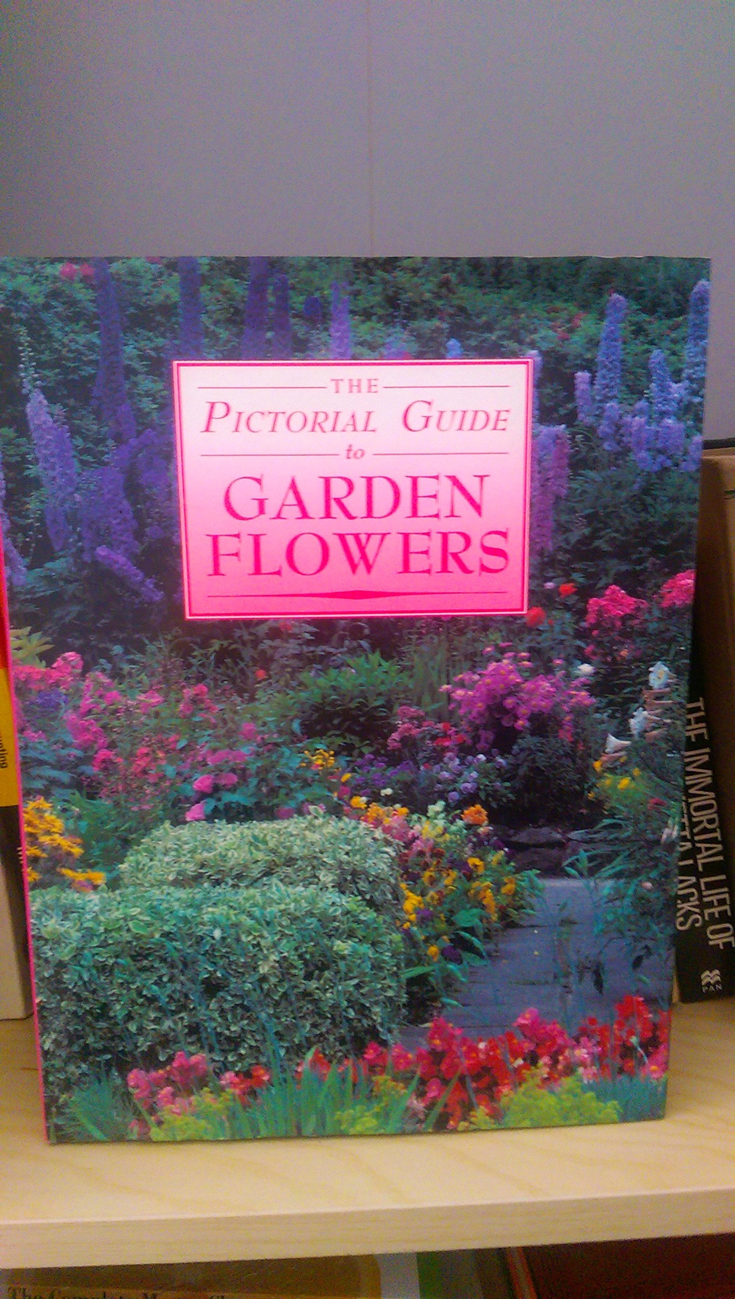 Pictorial Guide Garden Flowers