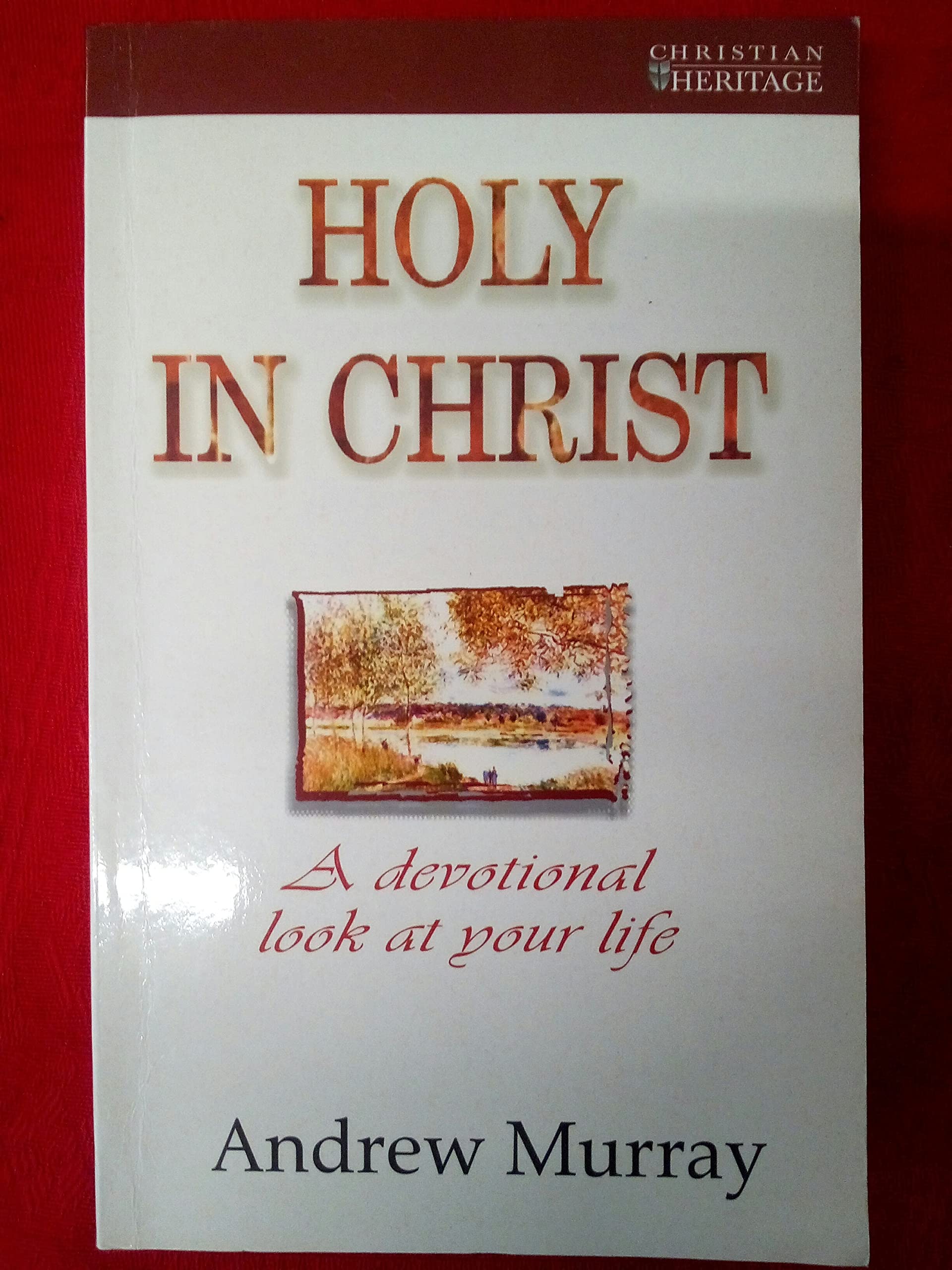 Holy in Christ: A devotional look at your life